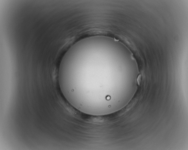 X0000115710423200911191253