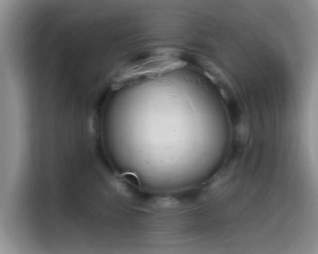 X0000115710424200911191253