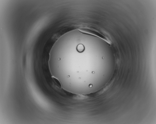 X0000115710429200911191253