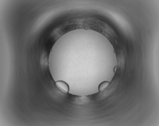 X0000115710431200911191253