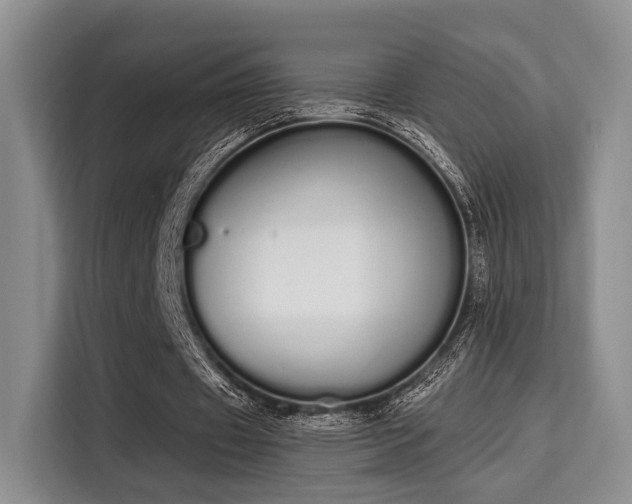 X0000115710433200911191252