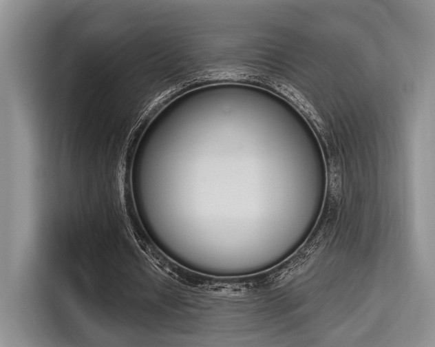 X0000115710434200911191253