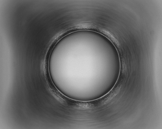 X0000115710439200911191253