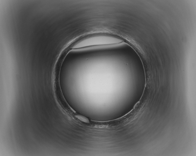 X0000115710440200911191253