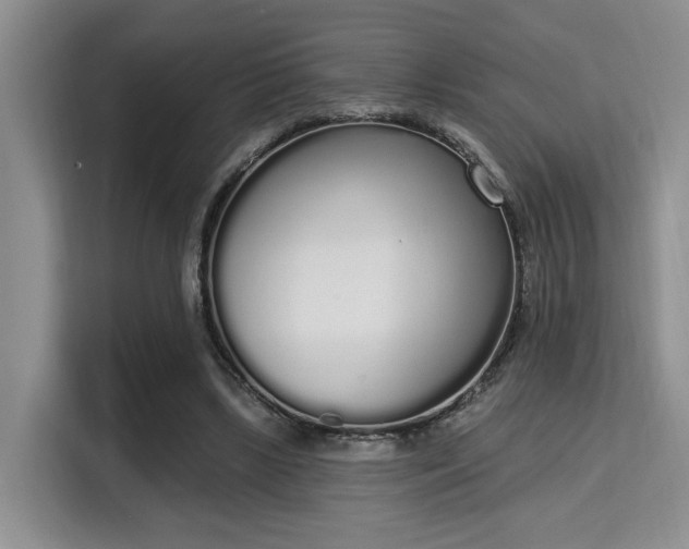 X0000115710443200911191253