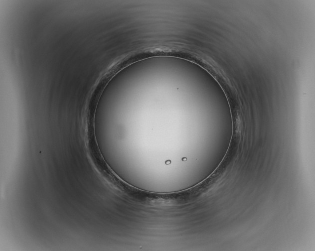 X0000115710444200911191253