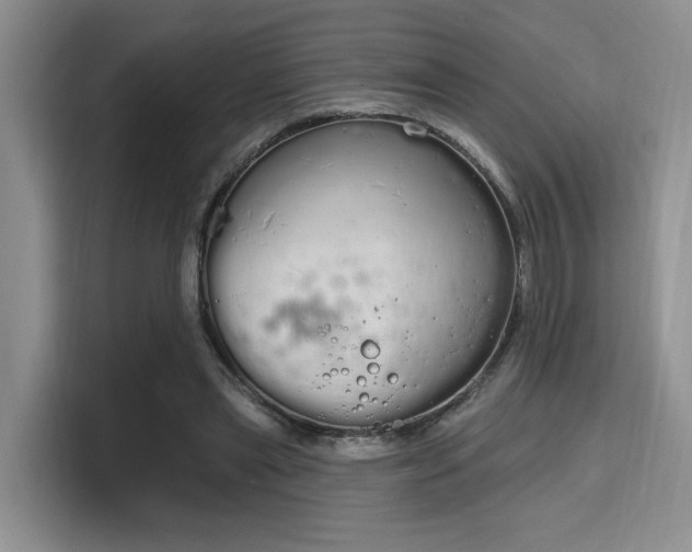 X0000115710445200911191253