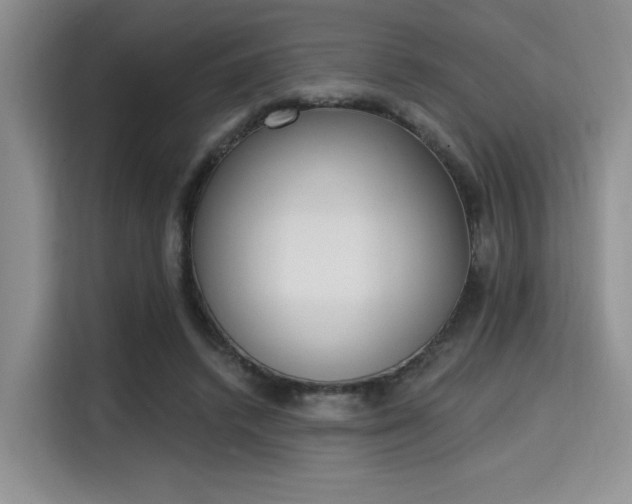 X0000115710448200911191253