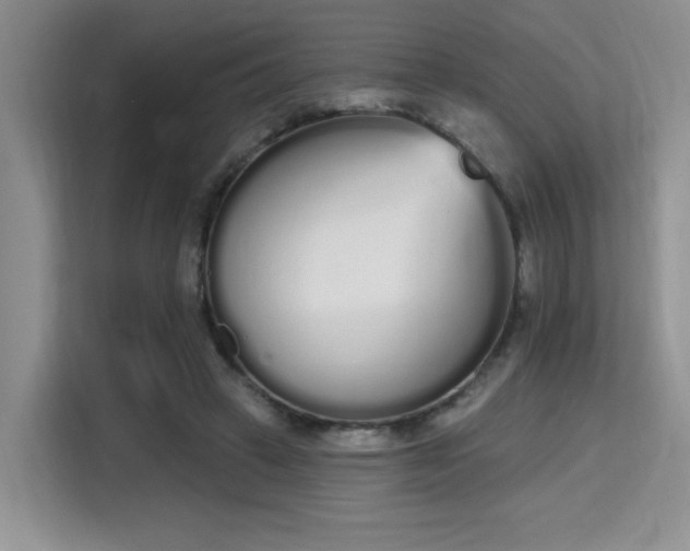 X0000115710449200911191253