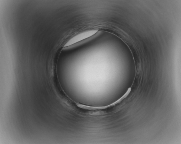 X0000115710452200911191253