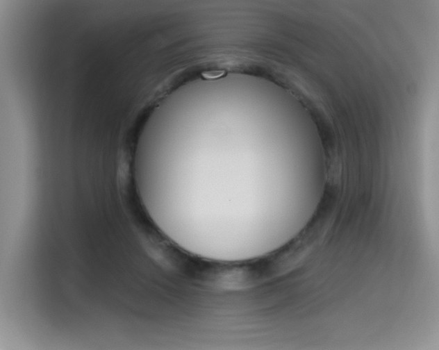 X0000115710456200911191253