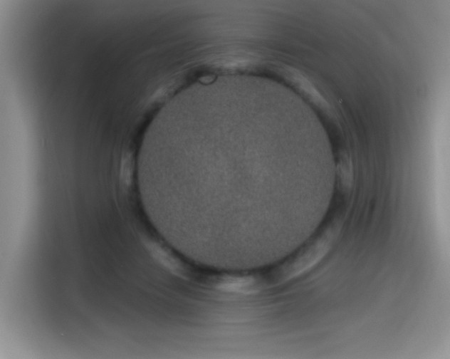 X0000115710458200911191253