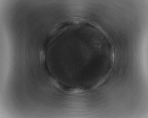 X0000115710471200911191253