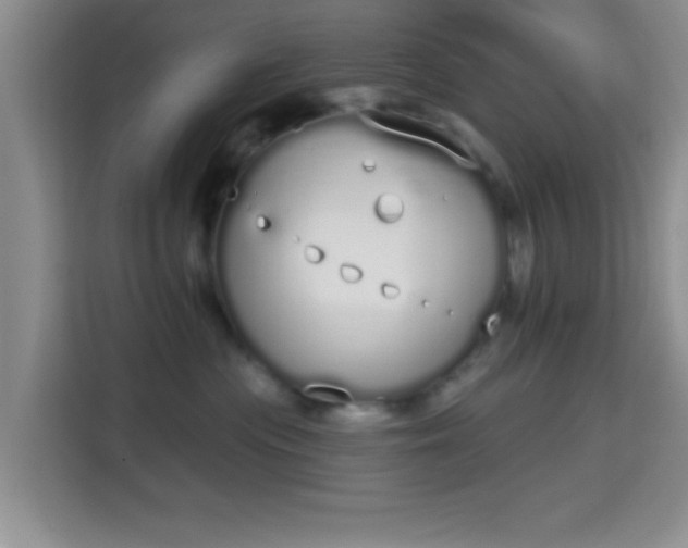 X0000115710477200911191253