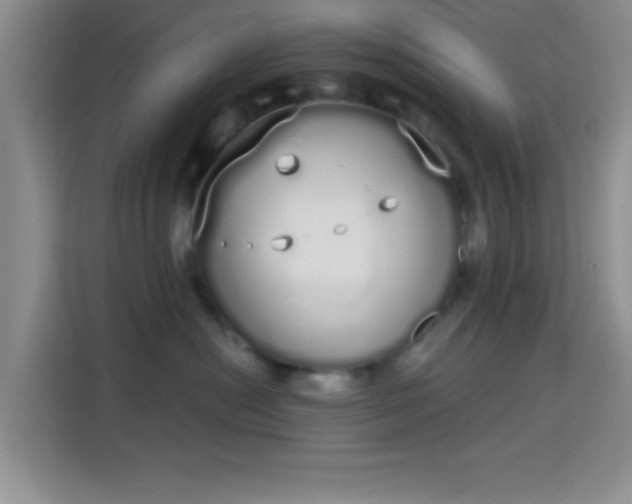 X0000115710478200911191253