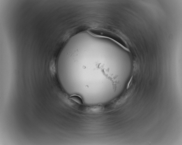 X0000115710479200911191253