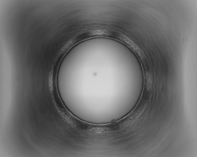 X0000115710482200911191252