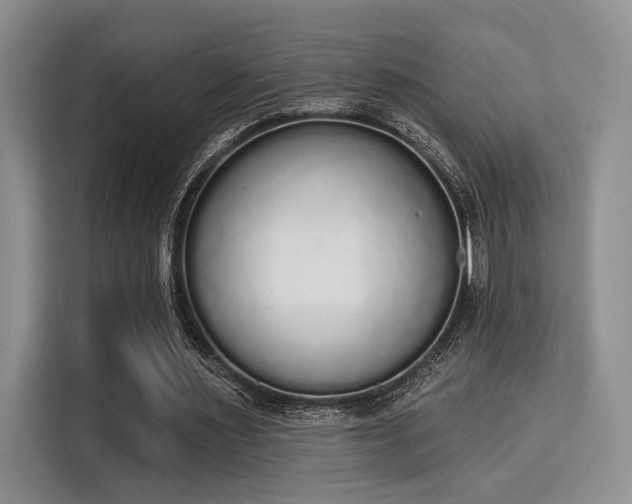 X0000115710483200911191252