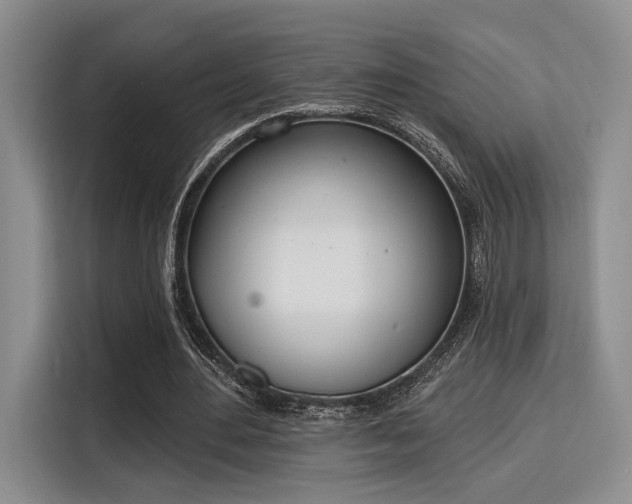 X0000115710484200911191252