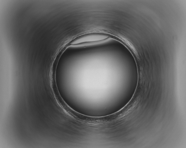 X0000115710485200911191252