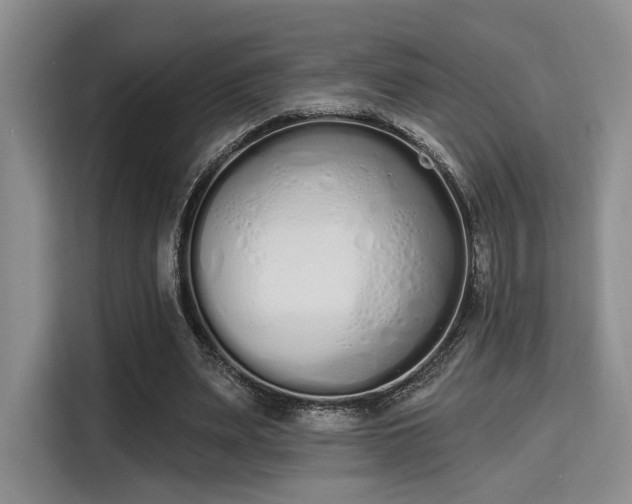 X0000115710487200911191252