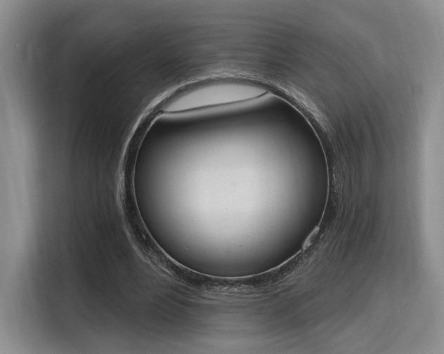 X0000115710488200911191252