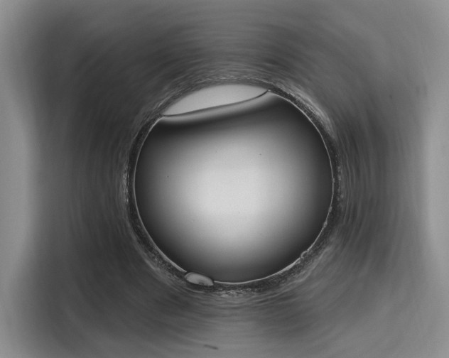 X0000115710489200911191252