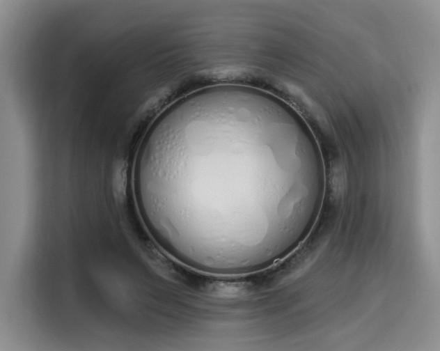 X0000115710495200911191252