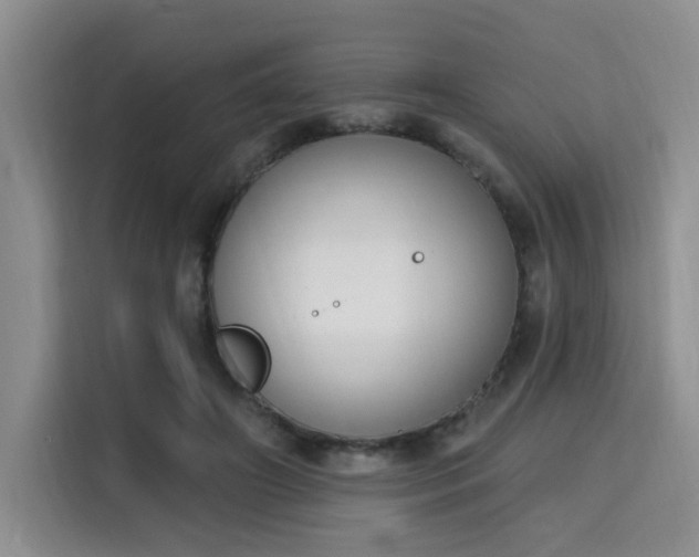 X0000115710498200911191252