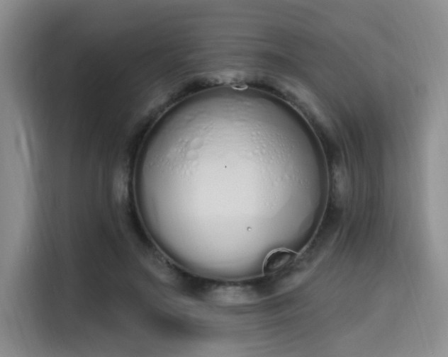 X0000115710499200911191252