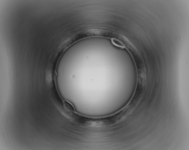 X0000115710500200911191252