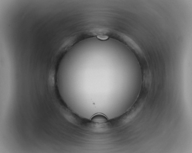 X0000115710501200911191252