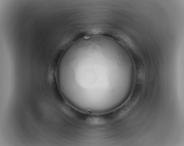 X0000115710503200911191252