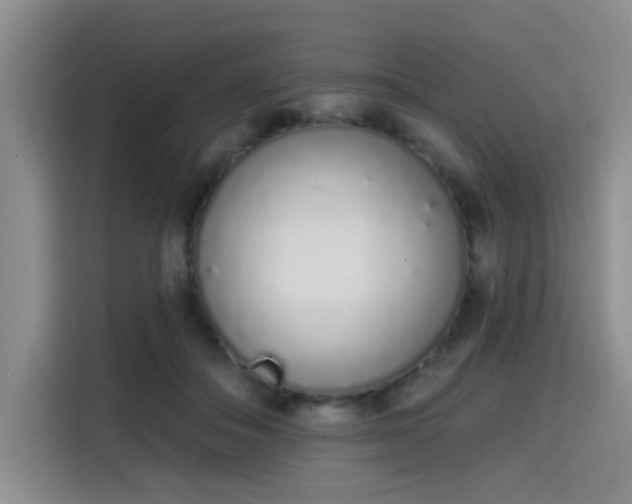 X0000115710506200911191252