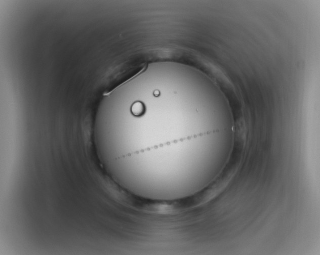 X0000115710509200911191252