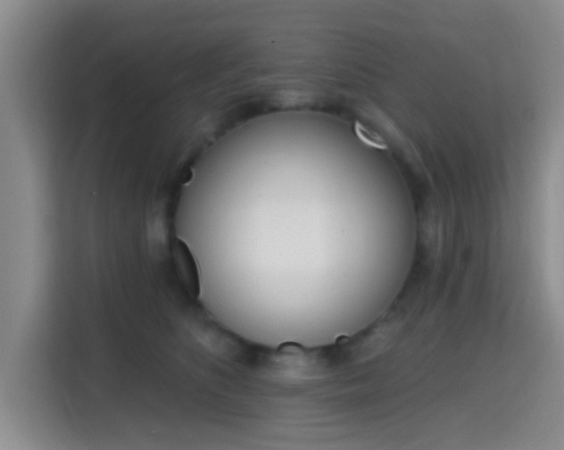 X0000115710516200911191252