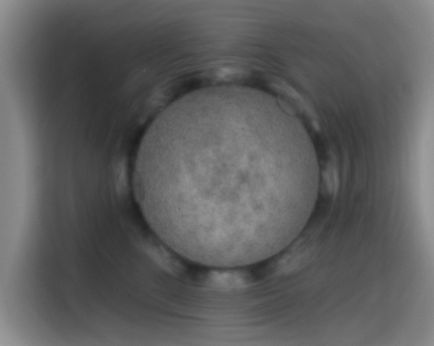 X0000115710520200911191252