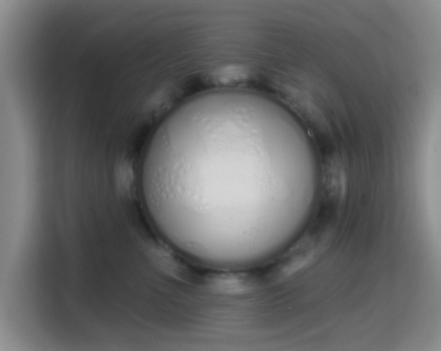 X0000115710523200911191252