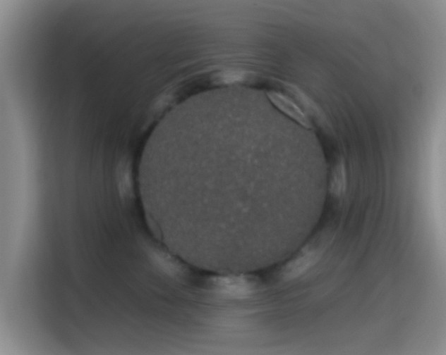 X0000115710524200911191252