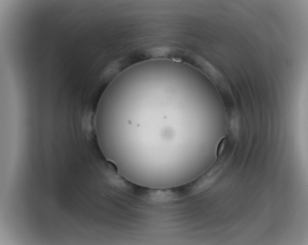 X0000115710525200911191252