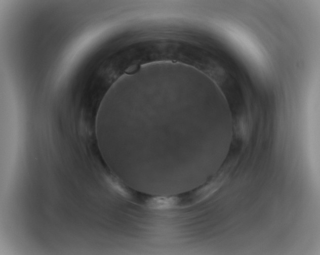 X0000115710526200911191252