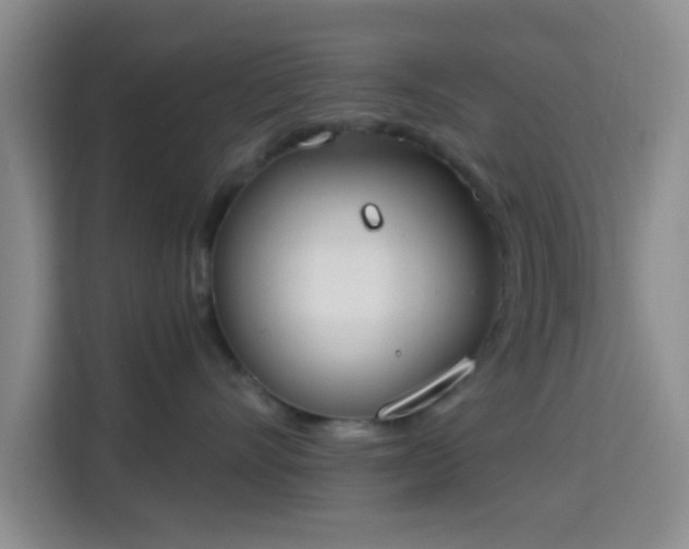 X0000115710528200911191252