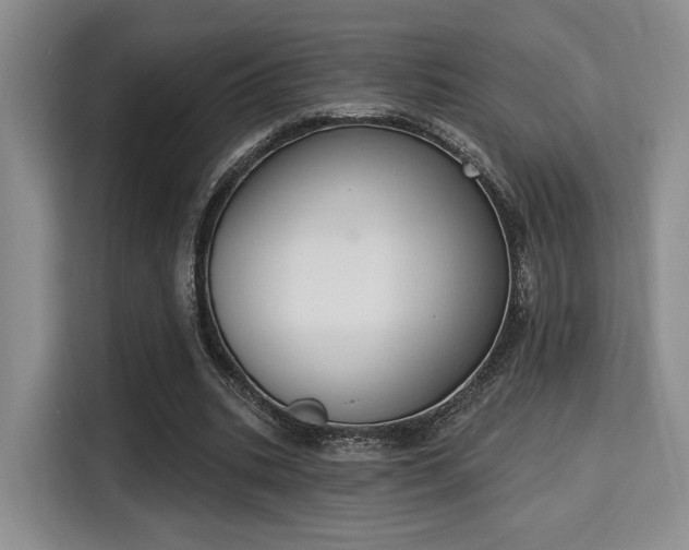 X0000115710535200911191251