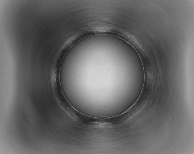 X0000115710539200911191251