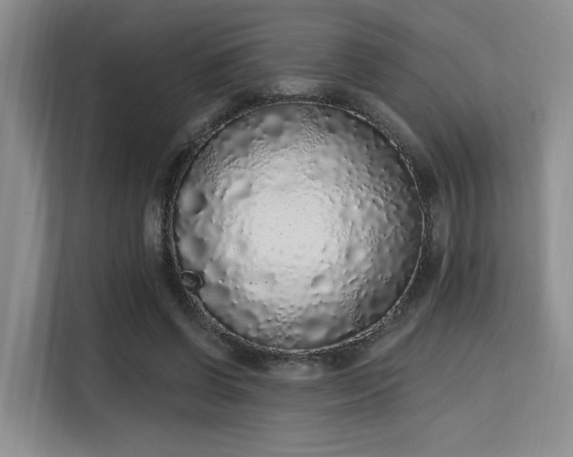 X0000115710542200911191251