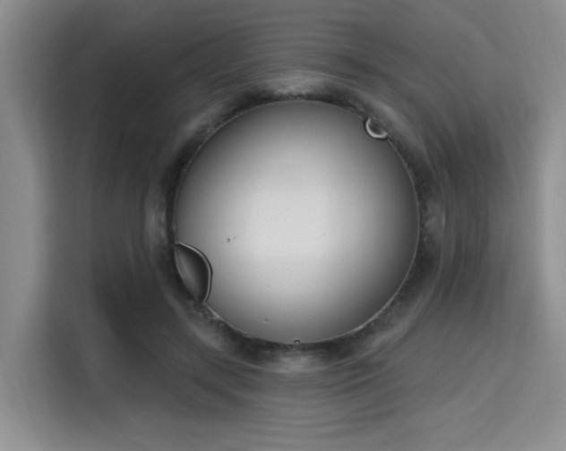 X0000115710547200911191251