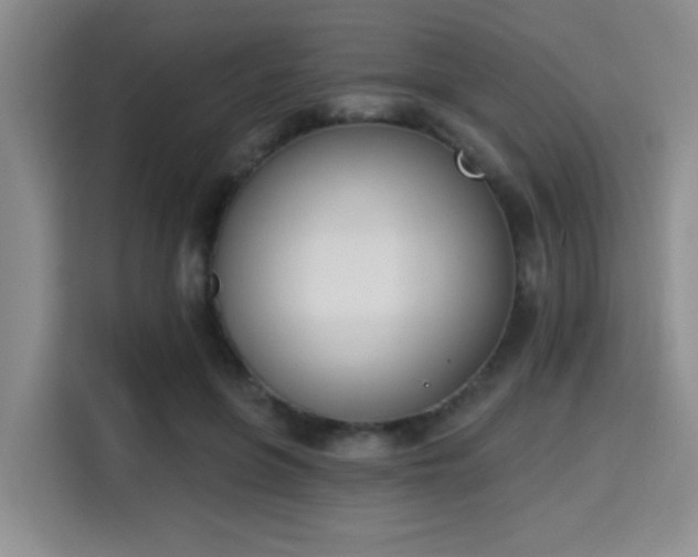 X0000115710551200911191252