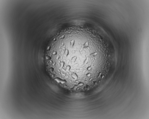 X0000115710553200911191252