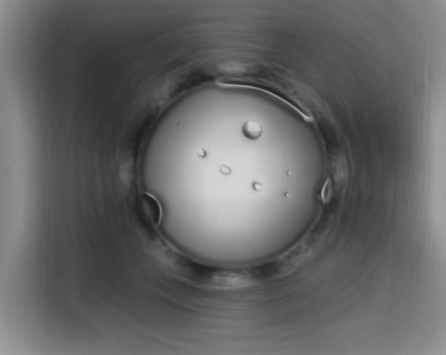 X0000115710559200911191252