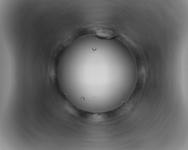 X0000115710566200911191252